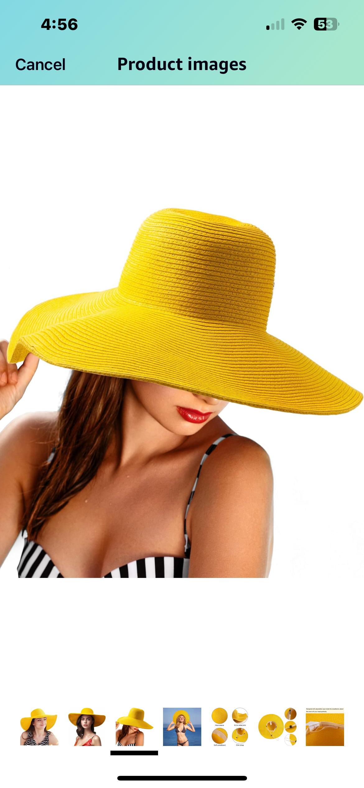 Floppy Straw Hat